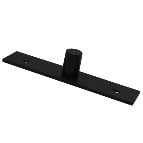 Surface Mount Top Pivot Matte Black