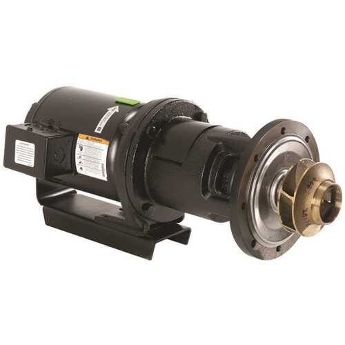 Laars RA2117201 1/3hp Pump Motor Assemblyra2117201