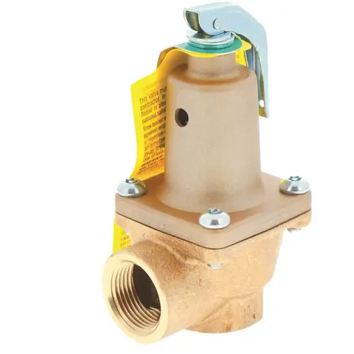 Raypak 007224F 3/4" 125# 1 700 000btu Rlf Valve 007224f