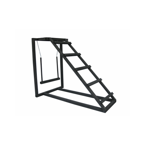 MY BACKYARD FARM DDP-1742 Ladder/Swing Active Set