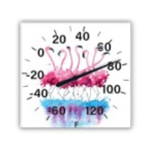 TAYLOR PRECISION PRODUCTS 5323342 Flamingo Thermometer