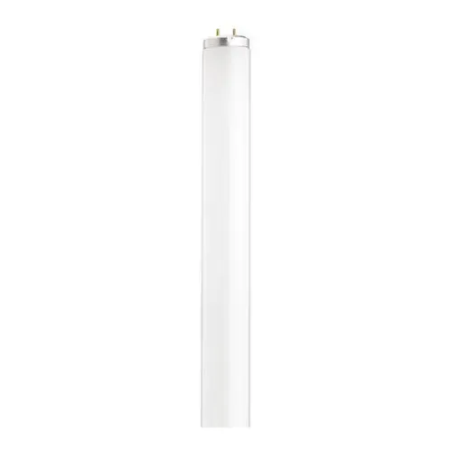 FLUORESCENT LAMP 36" - COOL WHITE