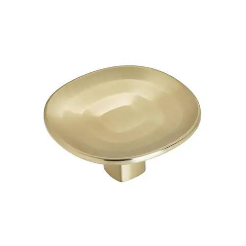 Concentric Cabinet Knob Golden Champagne