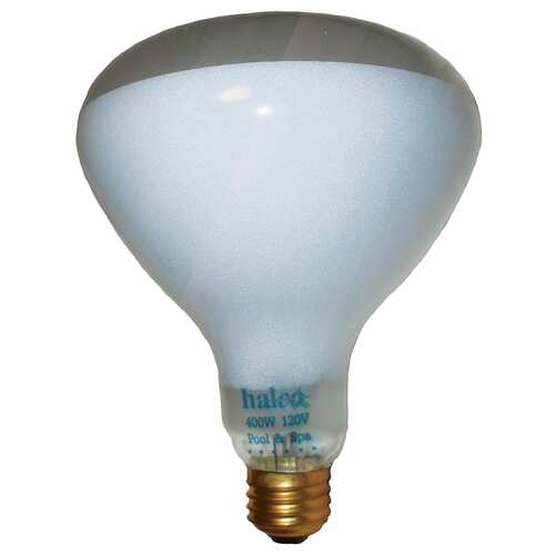 Incandescent Light Bulb 400W 120V