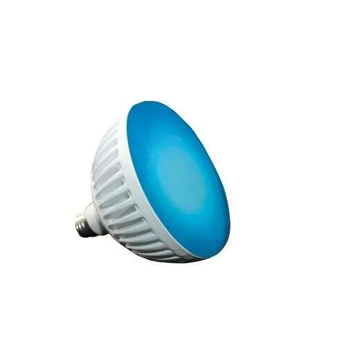 Bulb-Colorsplash Pool LED Rgbw 12V