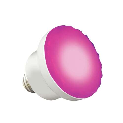 Bulb - Colorsplash Led Spa Rgbw