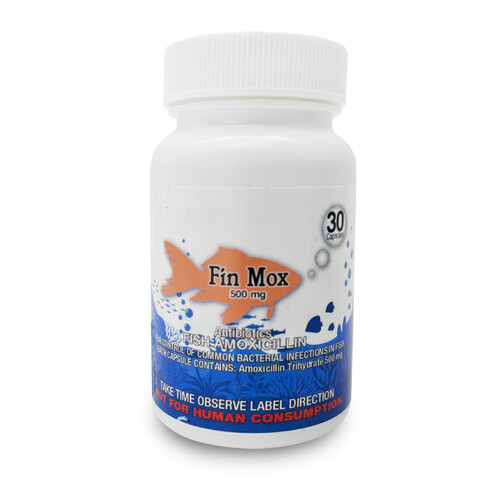 Fish Mox 500mg 30-Capsules