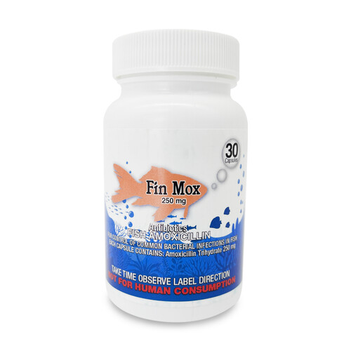 Fish Antibiotics 08644334 Fish Mox 250mg 30-Capsules