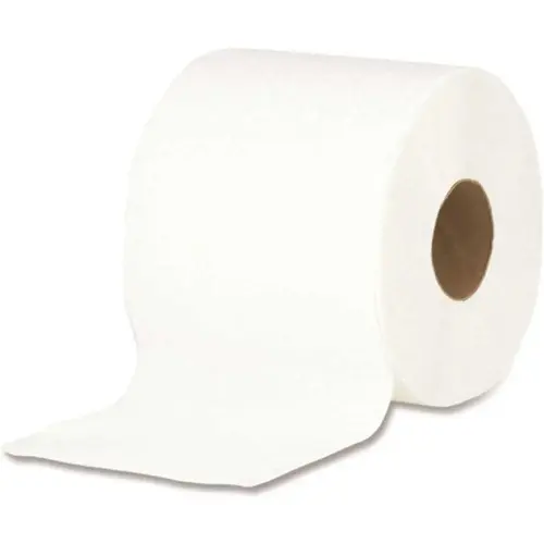 Toilet Tissue Septc Safe 2 Ply Wh 4x4