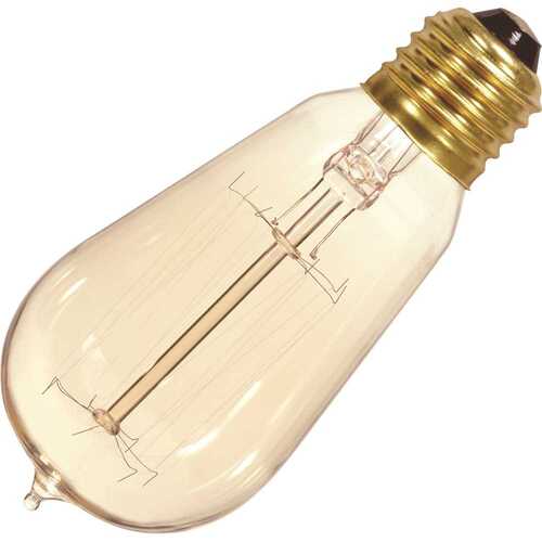 Vintage T-19 Bulb, 60 Watt, Cage, 120 Volt