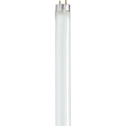 32 Watt T8 Linear Fluorescent Bulb, Medium Bi Pin, 4100k, Pallet Of 1200