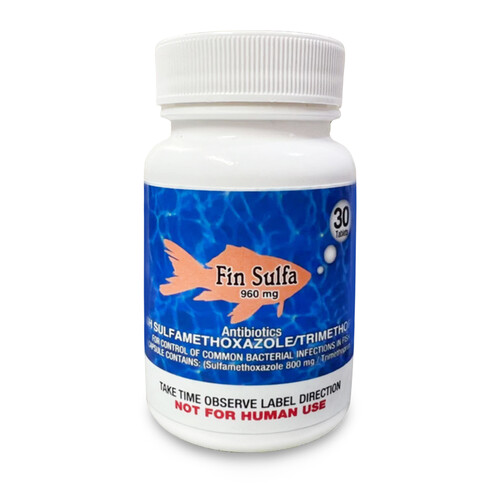 Fish Sulfa 960mg 30-Tablets