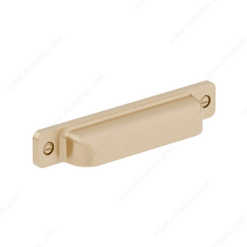 Transitional Metal Pull - 8716 Champagne Bronze