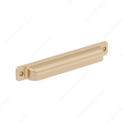 Transitional Metal Pull - 8716 Champagne Bronze