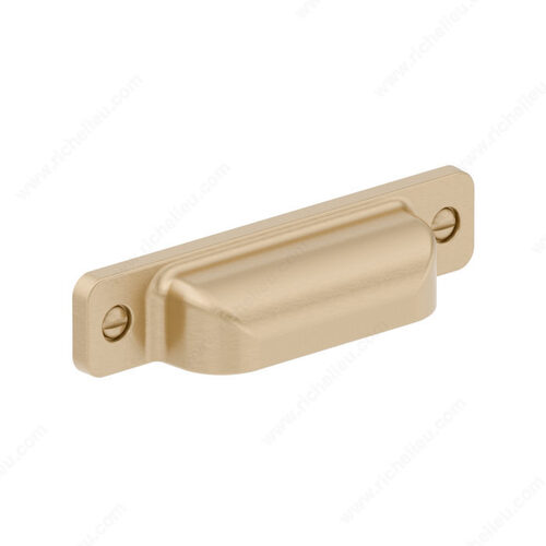 Transitional Metal Pull - 8716 Champagne Bronze