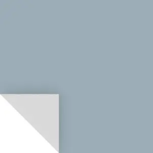 Samplize BM213050-XCP8 Peel & Stick Color Sample Benjamin Moore New Hope Gray 2130-50 New Hope Gray - pack of 8