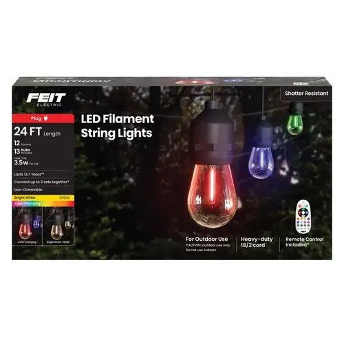 String Lights w/Remote Control LED Multicolored 24 ft. 13 lights