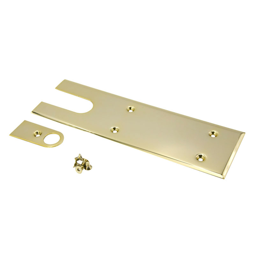 F900 Series Cover Plate and Insert - Polished Brass