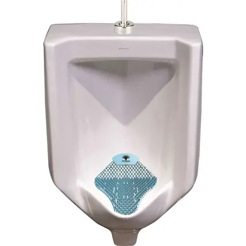 WIZKID PRODUCTS STGRY-CLN 30 Day Urinal Screen Clean