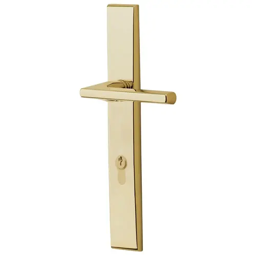 Lakeshore Multi Point Trim Passage Configuration 4 Lifetime Brass Finish