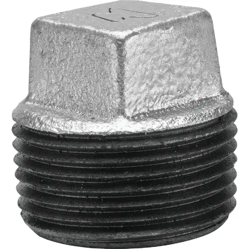 ANViL 8700159703 1/8 In. Malleable Iron Galvanized Plug
