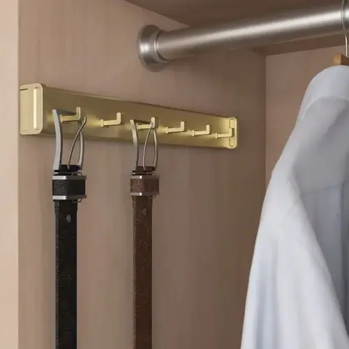 Richelieu Hardware 3544160 Design-R Pull-Out Belt Rack Satin Brass