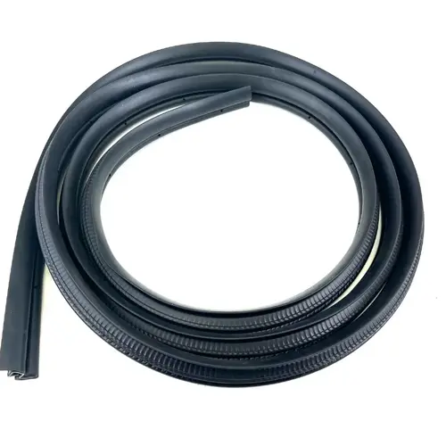 2005 - 2015 Toyota Tacoma T3020 - Door Seal on Body main image 0