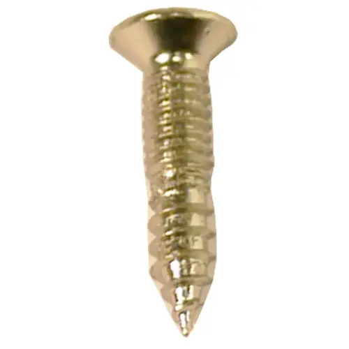 Two Part Wood Screw for Strike and Latch Chrome Finish