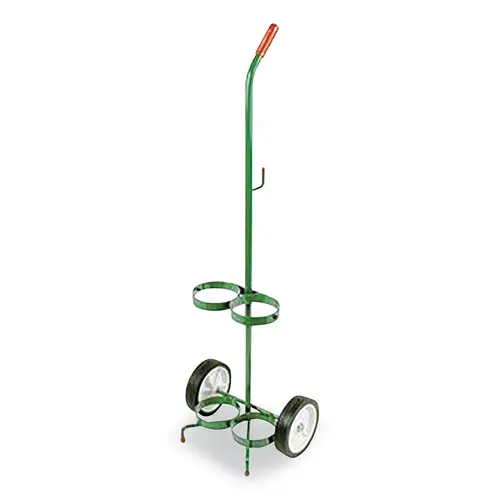 Anthony & Co 6205 D/E Size Cylinder Transport Cart, Dual, 14 in W x 41 in H x 10 in D, 6 in Semi-Pneumatic Wheels, Mask Hook Green