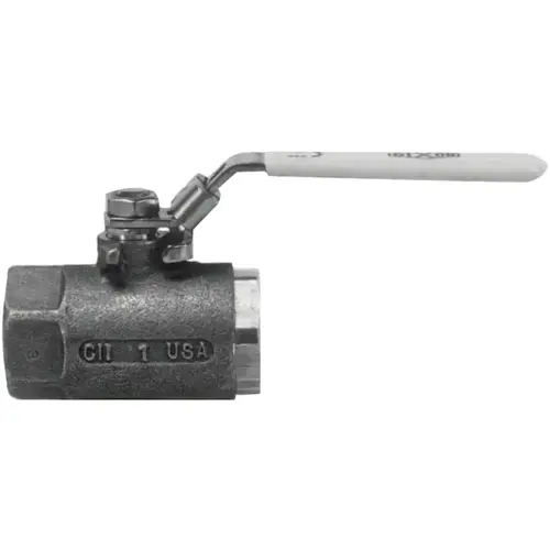 DIXON VALVE SSBV25 Ball Valves, 1/4 in (NPT) Inlet, Female/Female, Stainless Steel