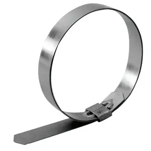 STRAPBINDER HBCP5 Hosebinder Center Punch Preformed Hose Clamp,1 1/4" Hose ID, Carbon Steel,100/Bx - pack of 100
