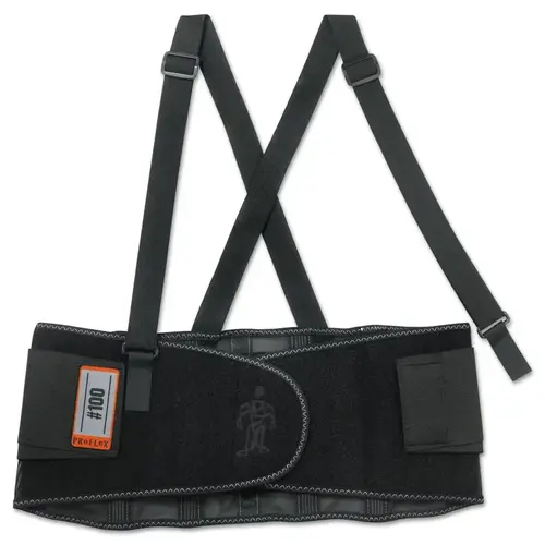 Ergodyne 11384 ProFlex  100 Economy Back Support, Large, Black