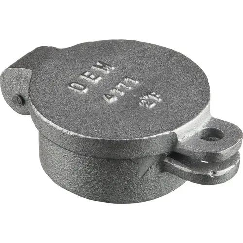 OEM DIB464170 2 In. Female Oil Tank Hinged Fill Cap