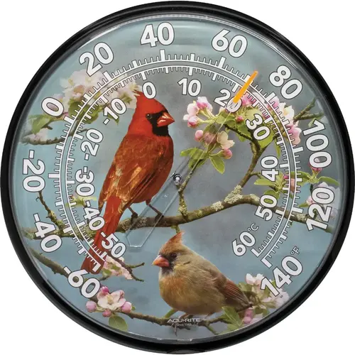 AcuRite 01597A3 12" Fahrenheit -60 To 140 Outdoor Wall Thermometer