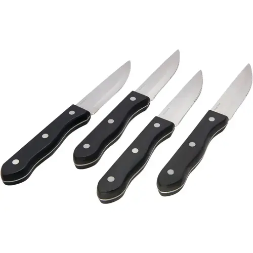 Broil King 64935 Stainless Steel Steak Knife Set (4-Piece)