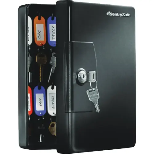 SentrySafe KB25/P44982 0.06 Cu. Ft. Key Box Black