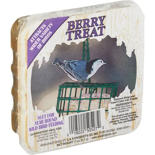 C & S 100214302-XCP12 11 Oz. Berry Treat Wild Bird Suet - pack of 12