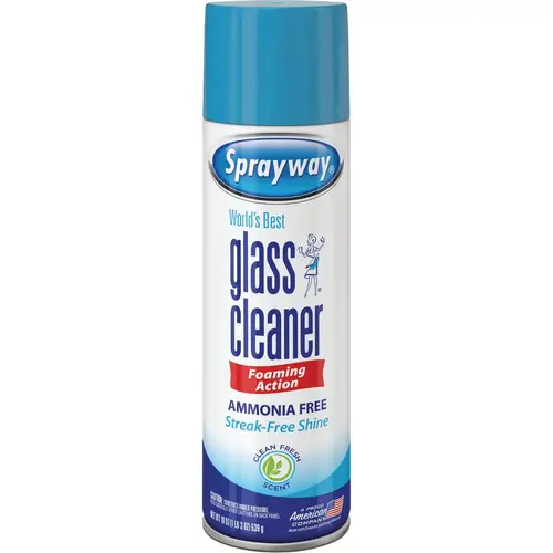 Sprayway SW050R 19 Oz. Glass & Surface Cleaner