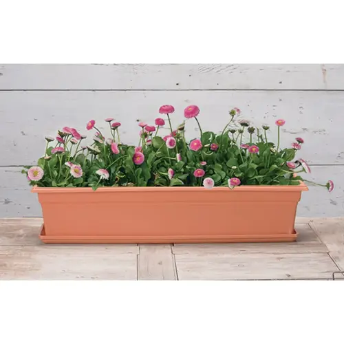 Novelty 16305 Countryside 30 In. Plastic Terra Flower Box Planter