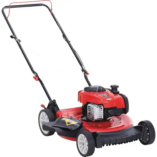 21 In. 163cc Low Wheel Push Gas Mower with Bag, Mulch and Side Discharge
