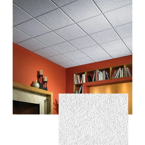 ECLIPSE 76775 USG 2 Ft. x 2 Ft. Mineral Fiber Suspended Acoustical Ceiling Panels (12-Count) White
