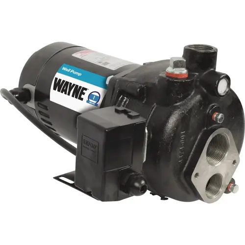 Wayne CWS100 1 HP Convertible Jet Well Pump
