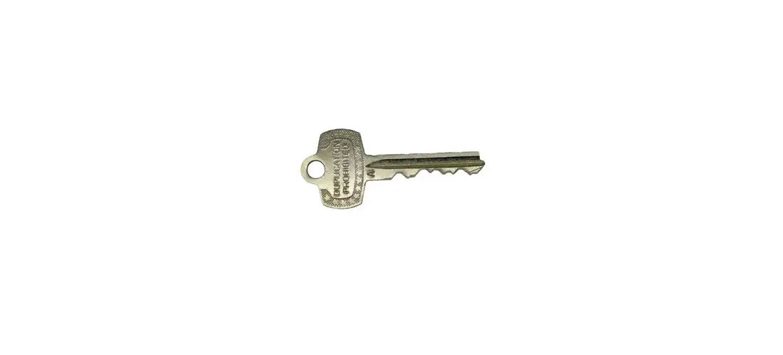 Sam Key Sentry Safe Keys Code Cut from 2002 to 2050 Tubular Round