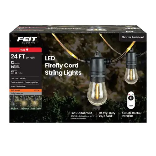 String Light Set LED Firefly Rope Clear 24 ft. 12 lights