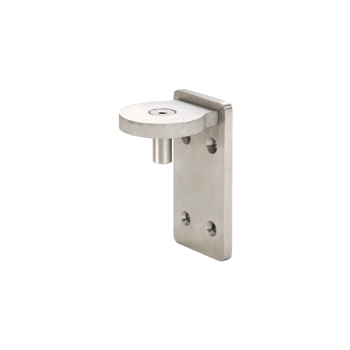 CRL 1202WGBS Brushed Stainless Steel 1202 Wall Mount Pivot