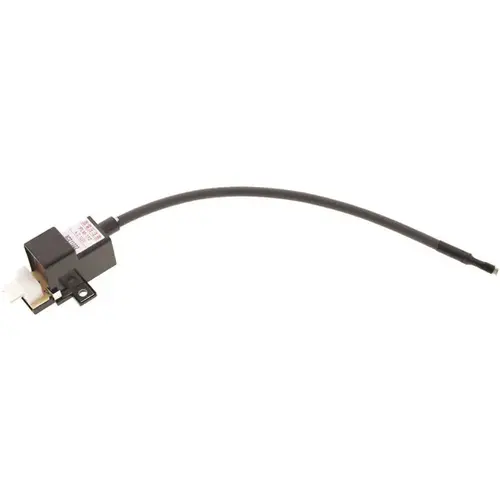 Rheem Ignitor Coil Rtg20235c