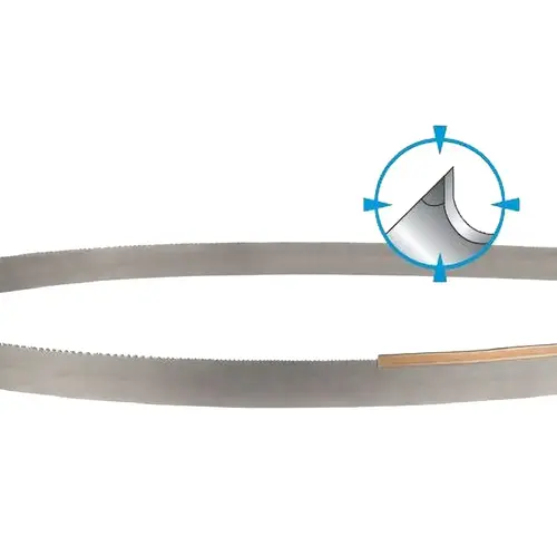 DoALL 303-028154.000 Welded Bandsaw Blade: 12 ft 10" Long, 0.035" Thick, 10 to 14 TPI