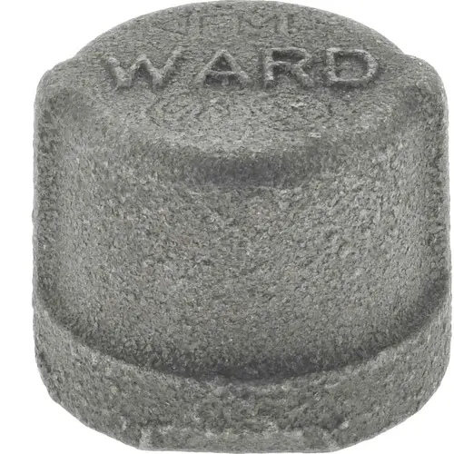 ANViL 318900529 Black Cap: 1/2", 150 psi, Threaded