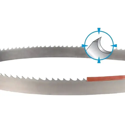 DoALL 301-748144.000 Welded Bandsaw Blade: 12 ft Long, 0.042" Thick, 4 to 6 TPI