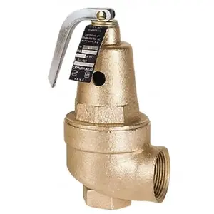 Conbraco 10-608-05 ASME Safety Relief Valve: 2" Inlet, 30 Max psi